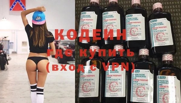 хмурый Алзамай