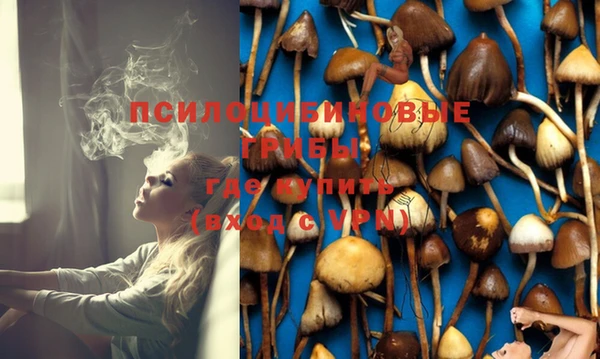 кокс Абдулино