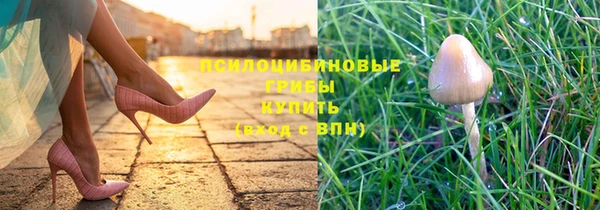 кокс Абдулино