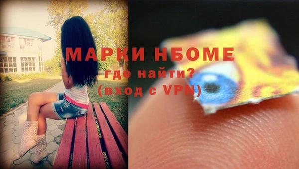 хмурый Алзамай